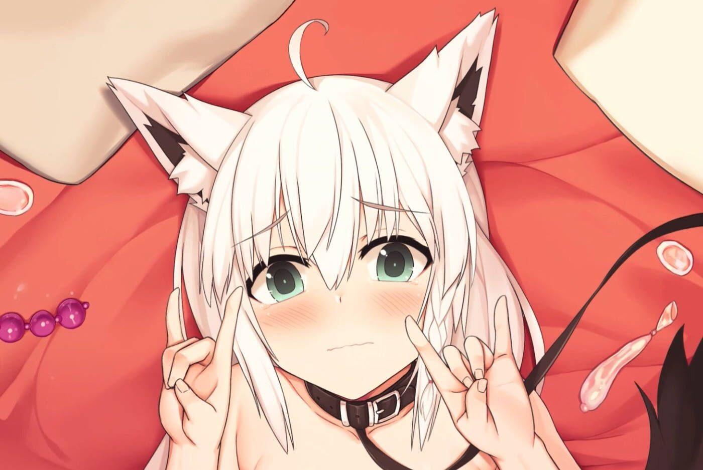 白上吹雪[Zen33n] Patreon 2021.02  Vtuber 白上フブキ【600】